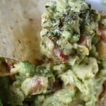 Fresh Blender Guacamole