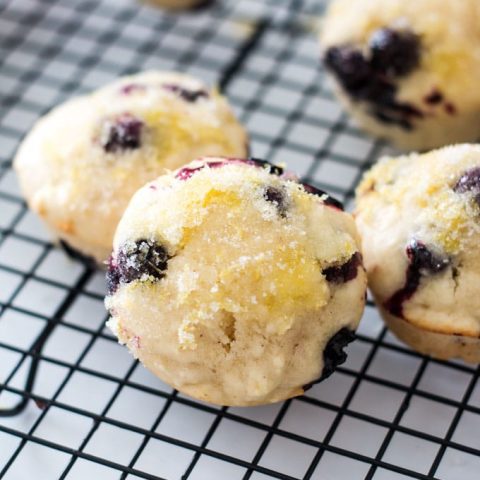 Vanilla Lemon Blueberry Muffins